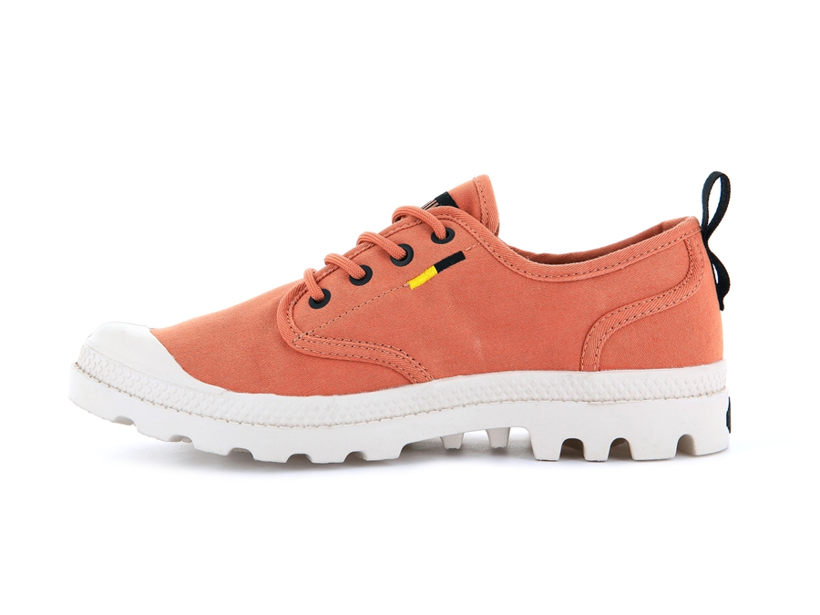 Brown Grey Palladium Pampa | RPY6258IV