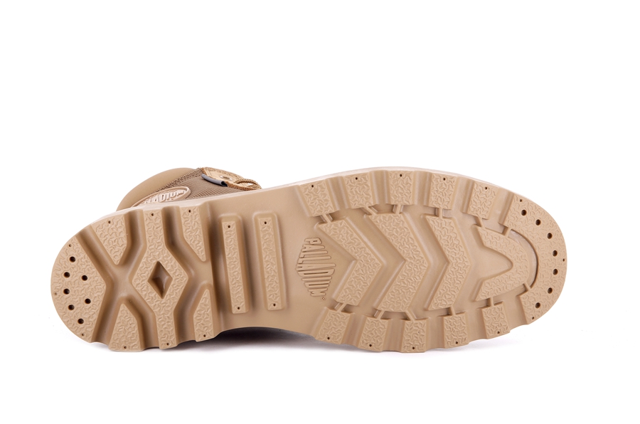 Brown Palladium Pampa | QDO3465DO