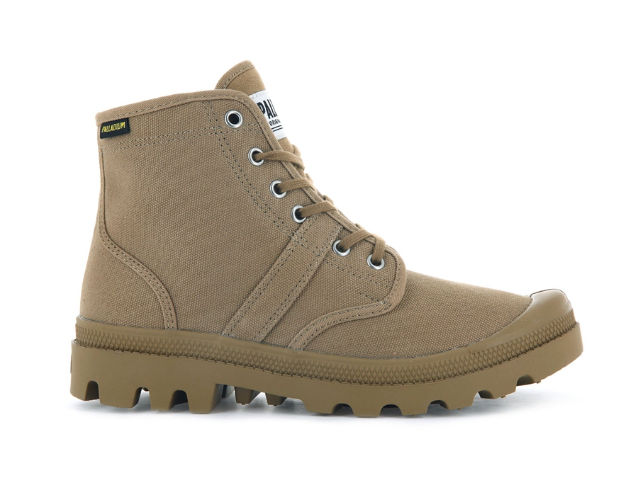 Olive Palladium Pallabrousse | DER5747AB