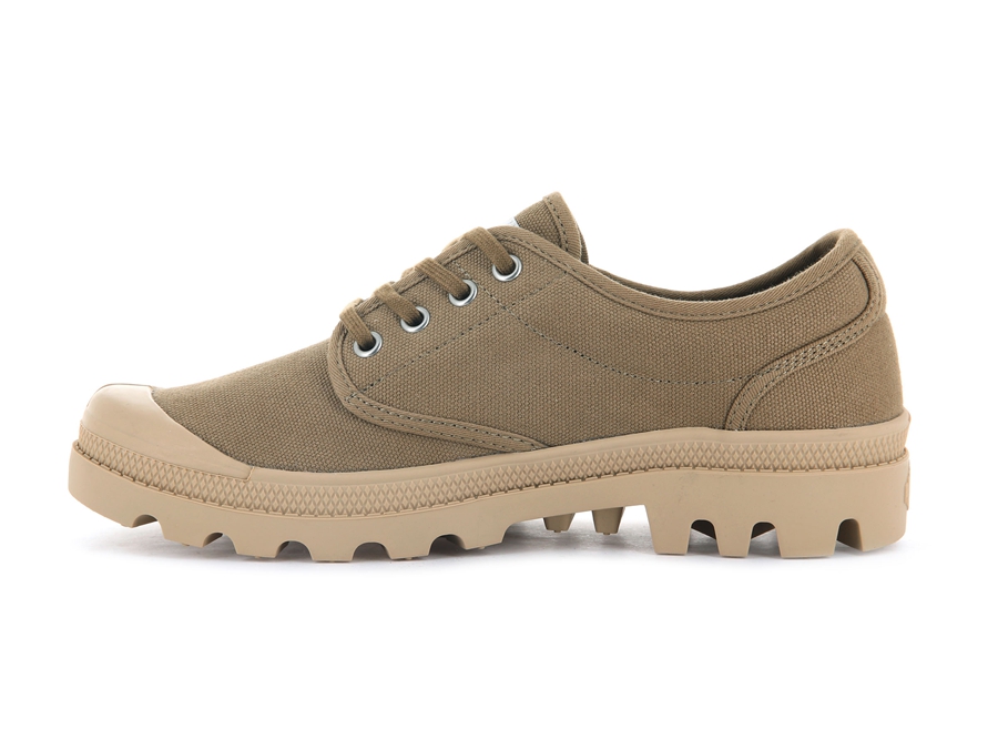 Olive Palladium Pallabrousse | IYC3669US