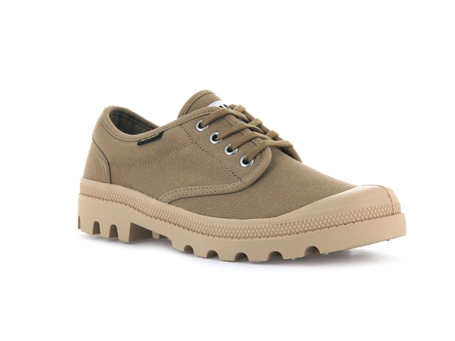 Olive Palladium Pallabrousse | QVR7139CP