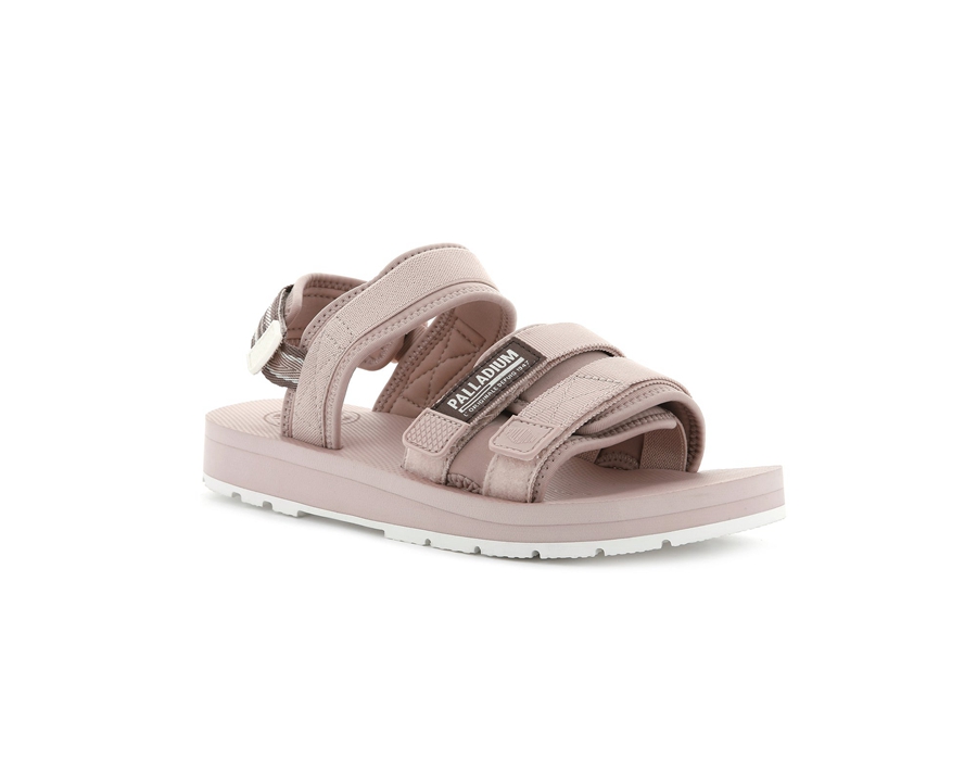 Rose Palladium Outdoorsy | FPO977JI