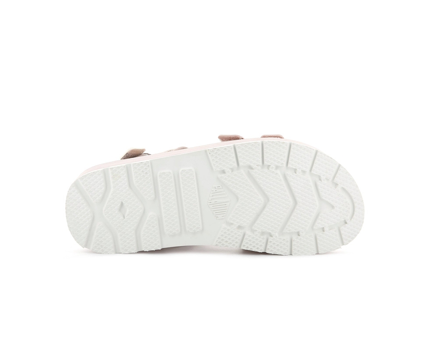Rose Palladium Outdoorsy | FPO977JI